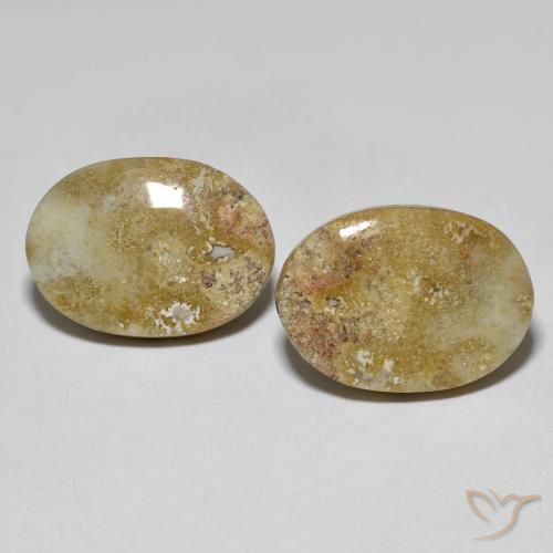 16.68캐럿 천연 멀티컬러 화석 산호 보석, 타원형 컷, 17.6×12.6 mm, 불투명체