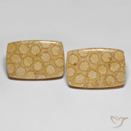 27.38캐럿 천연 다색 화석 산호 보석, 쿠션 컷, 불투명체