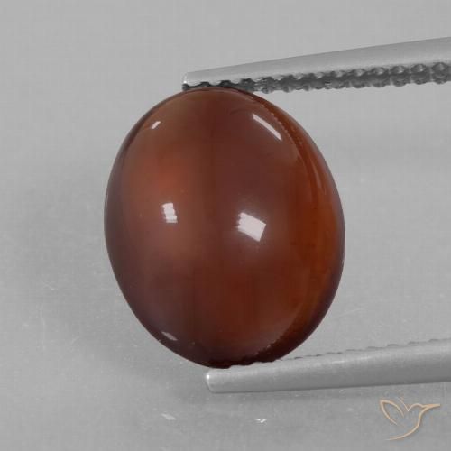 5.35ct 자연스러운 웜 브라운 헤소나이트 가넷, 타원형, 투명한