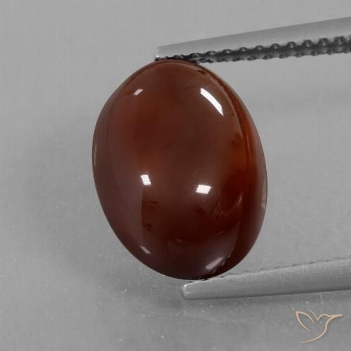 6.21ct 자연스러운 미디엄 다크 브라운 헤소나이트 가넷, 타원형, 투명한
