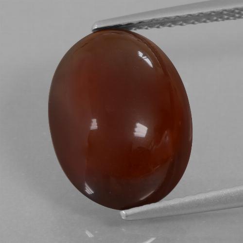 7.03캐럿 천연 피칸 브라운 헤소나이트 가넷, 타원형 컷, 13.8×10.1 mm, 투명한