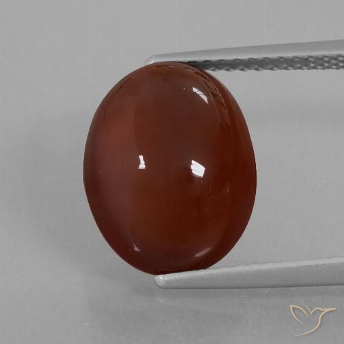 7.55ct 자연스러운 피칸 브라운 헤소나이트 가넷, 타원형, 투명한