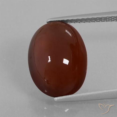 7.29ct 자연스러운 미디엄 다크 브라운 헤소나이트 가넷, 타원형, 투명한