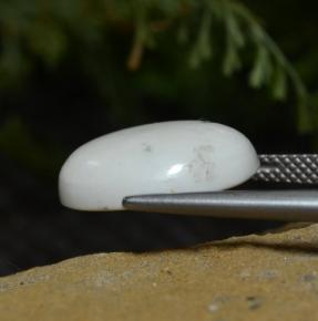 8.33캐럿 천연 밝은 회백색 하울라이트, 타원형 컷, 16.3×12.4 mm, 불투명체