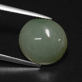 7.70캐럿 천연 그린 경옥, 투명한, 14×13 mm, 투명/반투명