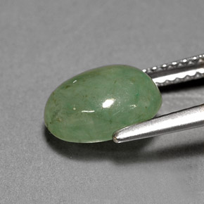 3.12캐럿 천연 그린 경옥, 투명한, 9.6×7.8 mm, 투명/반투명
