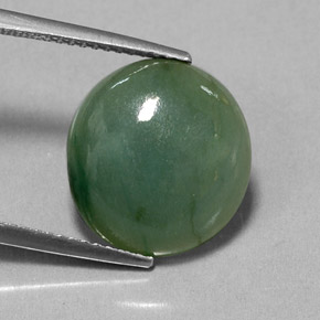 7.70캐럿 천연 그린 경옥, 투명한, 14×13 mm, 투명/반투명