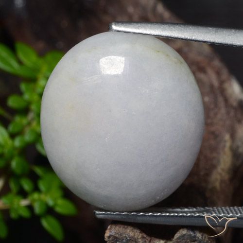 18.56ct 자연스러운 미디엄 그레이 비취, 타원형, 투명한