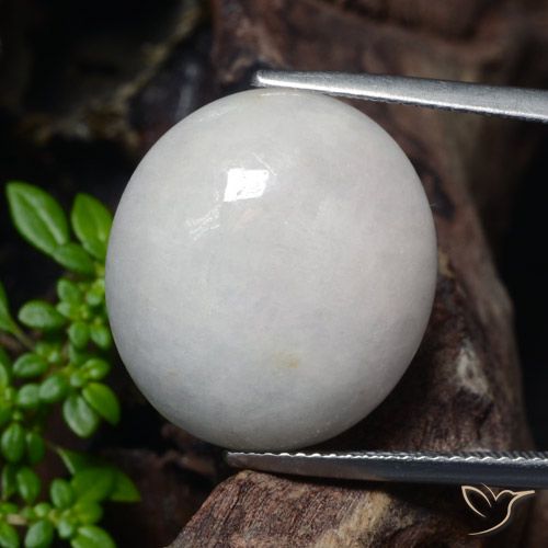 23.32ct 자연스러운 매우 밝은 회색 비취, 타원형, 투명한