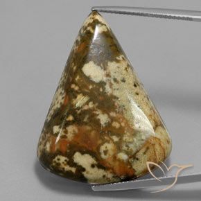 50.54ct 자연스러운 다색 벽옥, 팬시한, 불투명체