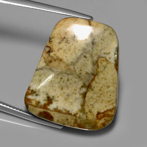 33.84캐럿 천연 멀티컬러 재스퍼, 멋진 모양, 25.6×21.7 mm, 투명한