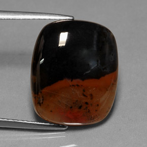 9.86캐럿 천연 멀티컬러 재스퍼, 투명한, 17.7×14.7 mm, 투명/반투명