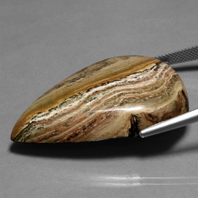 66.36캐럿 천연 멀티컬러 재스퍼, 배 모양, 40.7×27.8 mm, 불투명체