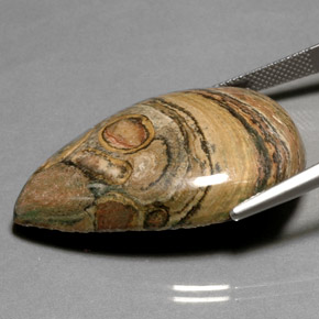 50.80캐럿 천연 멀티컬러 재스퍼, 배 모양, 35.6×25.4 mm, 불투명체