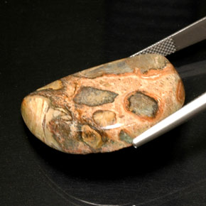 45.08캐럿 천연 멀티컬러 재스퍼, 멋진 모양, 31.2×24 mm, 불투명체