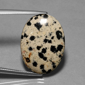 14.89캐럿 천연 멀티컬러 재스퍼, 타원형 컷, 24.7×18.3 mm, 불투명체