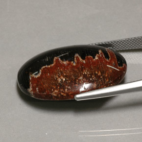 27.38캐럿 천연 멀티컬러 재스퍼, 타원형 컷, 31.6×20.9 mm, 불투명체