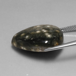 24.92캐럿 천연 멀티컬러 재스퍼, 배 모양, 23.1×19.5 mm, 불투명체
