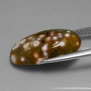 10.86캐럿 천연 멀티컬러 재스퍼, 타원형 컷, 21.6×11.2 mm, 불투명체
