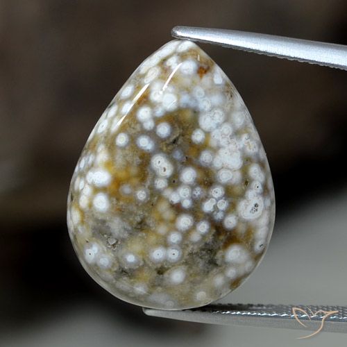 23.63ct 자연스러운 다색 벽옥, 배 모양, 불투명체