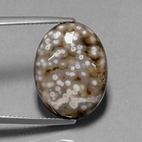 13.68캐럿 천연 멀티컬러 재스퍼, 타원형 컷, 18.9×14.3 mm, 불투명체