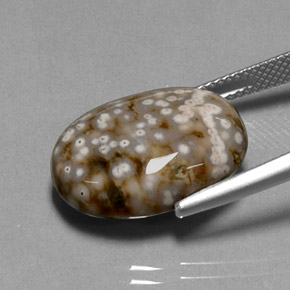 13.68캐럿 천연 멀티컬러 재스퍼, 타원형 컷, 18.9×14.3 mm, 불투명체
