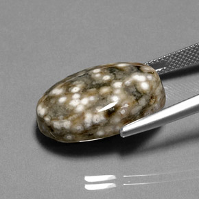 17.44캐럿 천연 멀티컬러 재스퍼, 타원형 컷, 21.1×14.4 mm, 불투명체