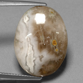 14.72캐럿 천연 멀티컬러 재스퍼, 투명한, 20.3×15.4 mm, 투명/반투명
