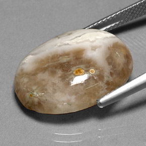 14.72캐럿 천연 멀티컬러 재스퍼, 투명한, 20.3×15.4 mm, 투명/반투명