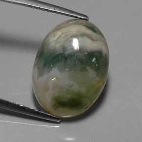 9.17캐럿 천연 멀티컬러 재스퍼, 투명한, 16.7×12.3 mm, 투명/반투명