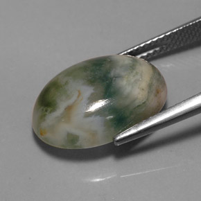 9.17캐럿 천연 멀티컬러 재스퍼, 투명한, 16.7×12.3 mm, 투명/반투명