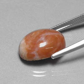 9.66캐럿 천연 다색 벽옥, 타원형 컷, 불투명체