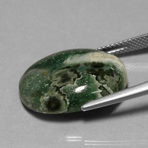13.88캐럿 천연 멀티컬러 재스퍼, 타원형 컷, 20.2×15.2 mm, 불투명체