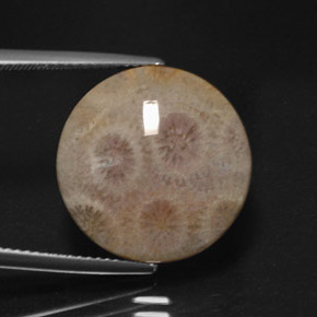 12.45캐럿 천연 멀티컬러 재스퍼, 라운드 컷, 17.63 mm, 불투명체