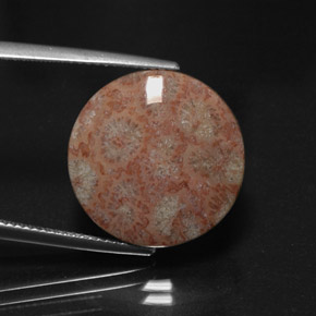 11.73캐럿 천연 멀티컬러 재스퍼, 라운드 컷, 17.78 mm, 불투명체
