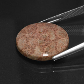 13.65캐럿 천연 멀티컬러 재스퍼, 라운드 컷, 19.66 mm, 불투명체
