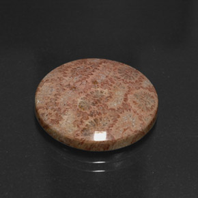 13.65캐럿 천연 멀티컬러 재스퍼, 라운드 컷, 19.66 mm, 불투명체