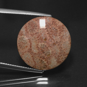 13.65캐럿 천연 멀티컬러 재스퍼, 라운드 컷, 19.66 mm, 불투명체