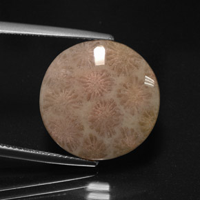 10.99캐럿 천연 멀티컬러 재스퍼, 라운드 컷, 17.45 mm, 불투명체