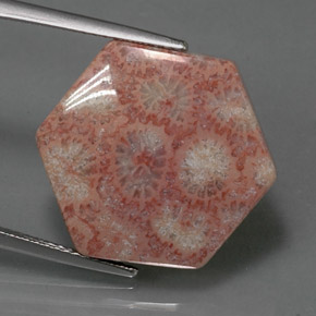 13.39캐럿 천연 멀티컬러 재스퍼, 멋진 모양, 20.1×17.7 mm, 불투명체
