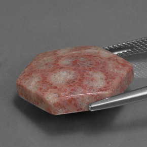 13.39캐럿 천연 멀티컬러 재스퍼, 멋진 모양, 20.1×17.7 mm, 불투명체