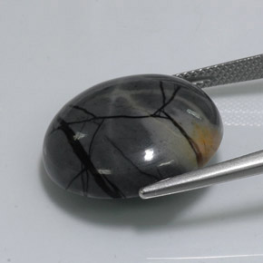 18.77캐럿 천연 멀티컬러 재스퍼, 라운드 컷, 19.59 mm, 불투명체