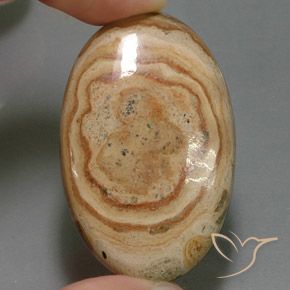 55.06ct 자연스러운 다색 벽옥, 타원형, 불투명체