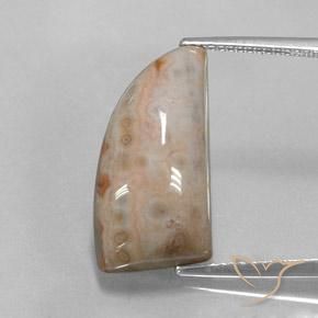 12.74ct 자연스러운 다색 벽옥, 팬시한, 불투명체