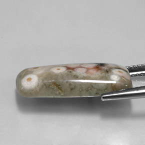 9.46캐럿 천연 멀티컬러 재스퍼, 멋진 모양, 21.2×11 mm, 불투명체