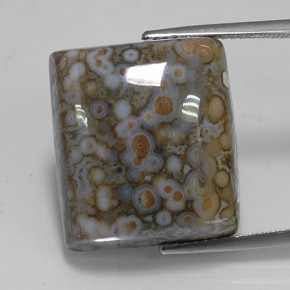 23.65캐럿 천연 멀티컬러 재스퍼, 스퀘어, 18.8×16.7 mm, 불투명체