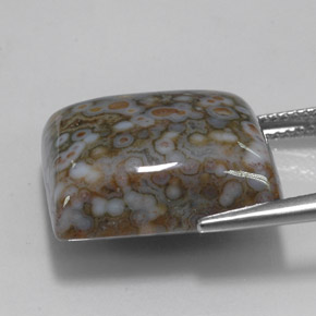 23.65캐럿 천연 멀티컬러 재스퍼, 스퀘어, 18.8×16.7 mm, 불투명체