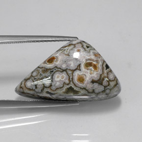 16.27캐럿 천연 멀티컬러 재스퍼, 멋진 모양, 23×13.2 mm, 불투명체