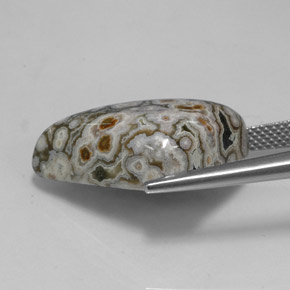 16.27캐럿 천연 멀티컬러 재스퍼, 멋진 모양, 23×13.2 mm, 불투명체