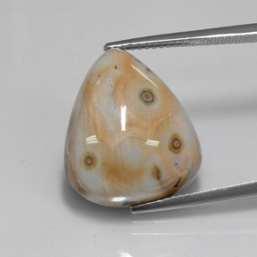 15.02캐럿 천연 멀티컬러 재스퍼, 배 모양, 18.9×16 mm, 불투명체